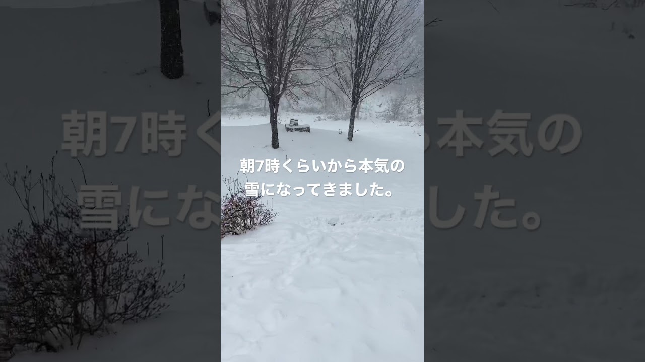 大雪警報発令中#片品村#雪遊び#大雪