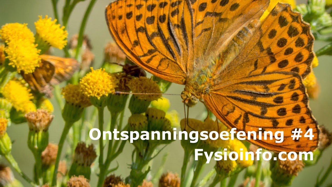 Ontspanningsoefening: Lichaam en geest heerlijk ontspannen. Weg met die stress!
