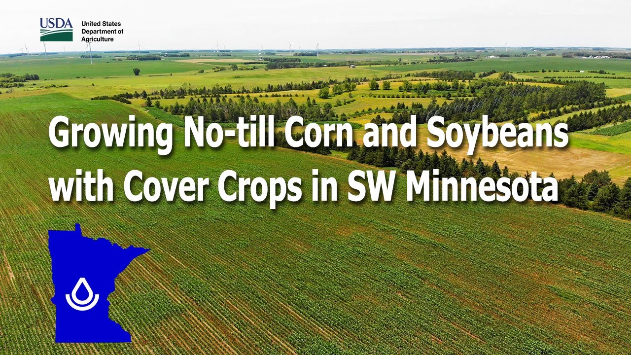 Growing No-till Corn, Soybeans, and Oats with Cover Crops in Southwestern Minnesota