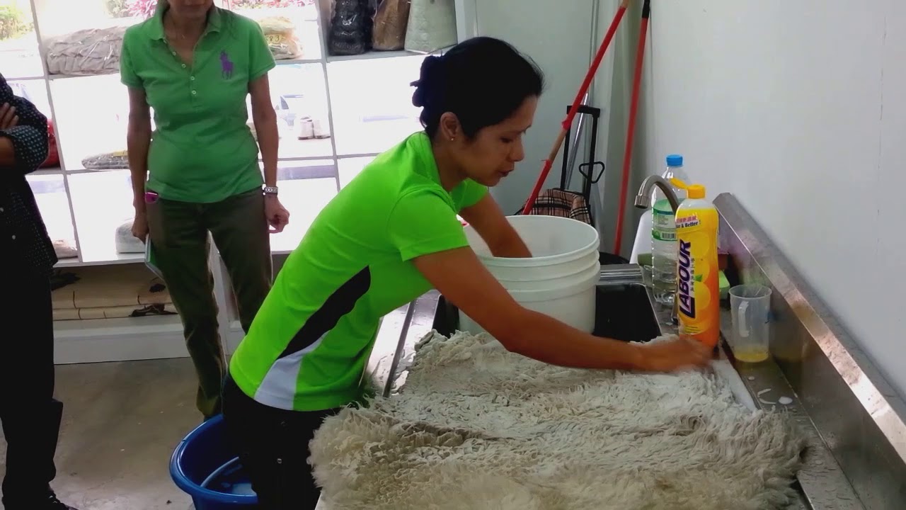 Sheep Skin wash