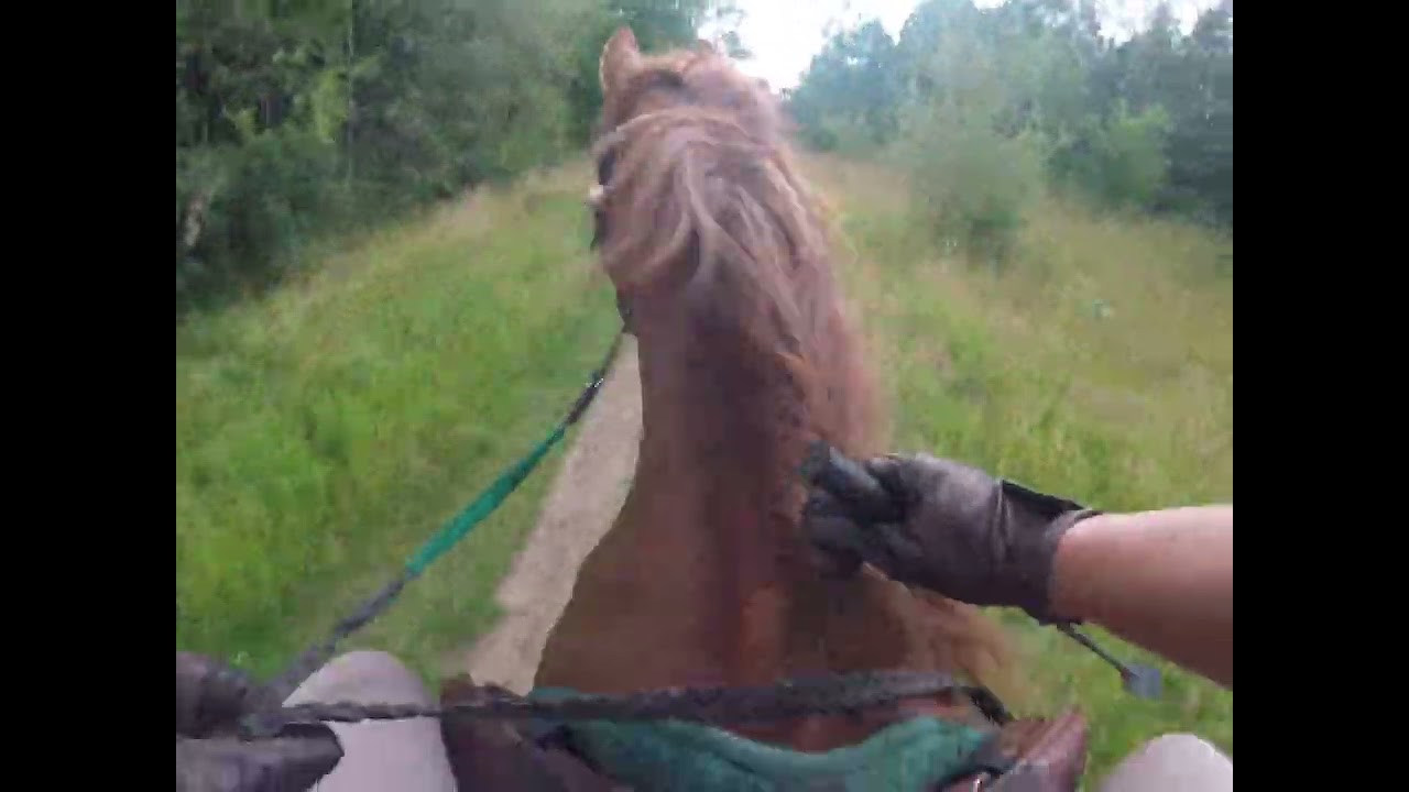 Come ride with me 25/7/24 Glodwick lows through park bridge 6/6