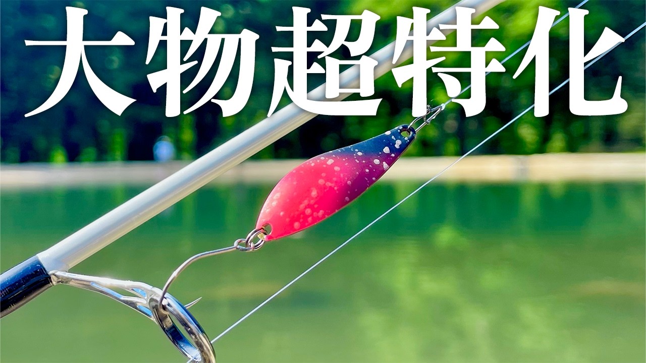 【大物超特化】赤身の大型サーモンを釣る為だけに作られた色のルアーを投げると...【エリアトラウト】【管理釣り場】