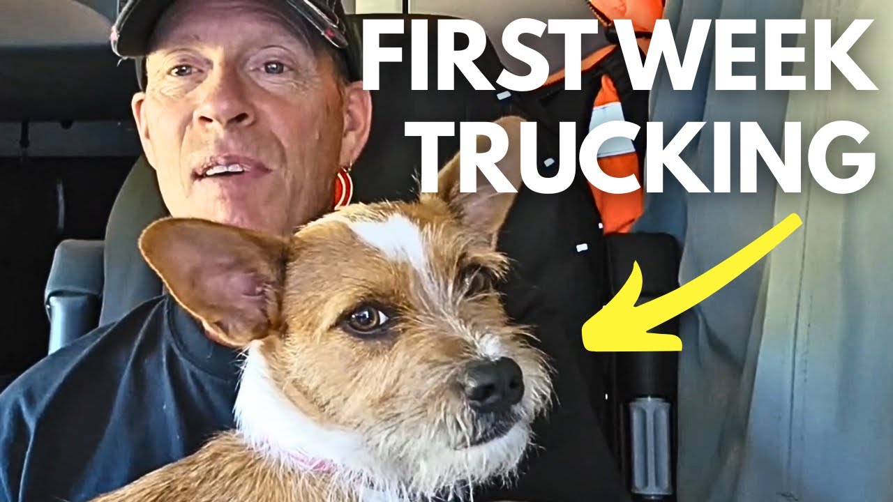 A Week Trucking with My Dog - Life of a Truck Driver