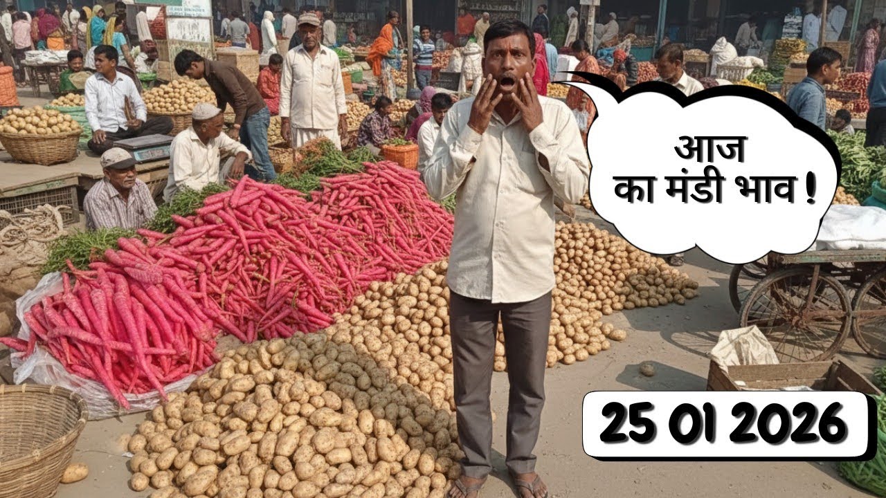 मंडी के भाव ने छुआ आसमान📈📈 | matar ko lekar hua hangama 🔥😱😱 today's rate (25/01/2026)