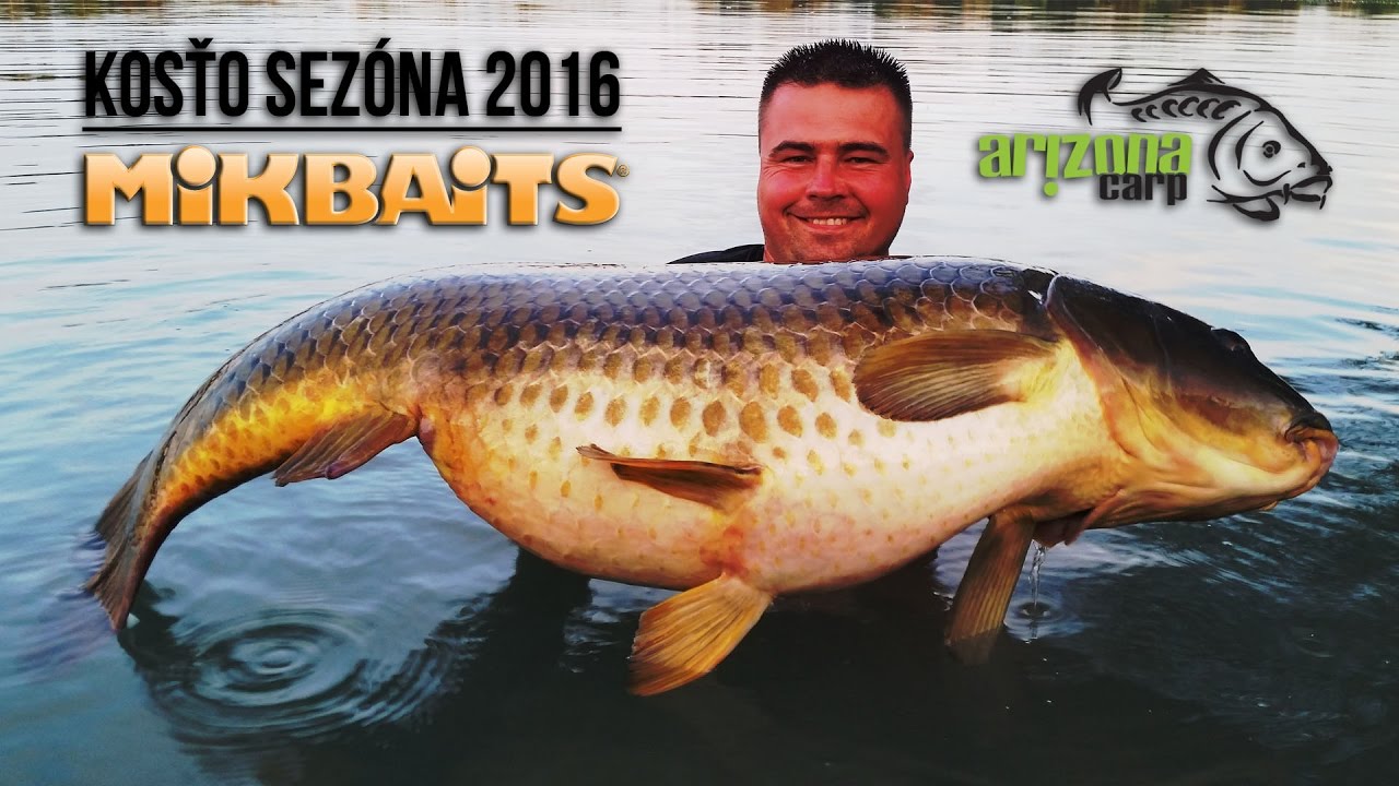 KOSŤO MIKBAITS sezóna 2016