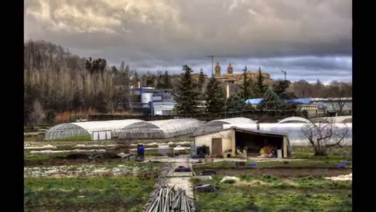Navarra  112  Pamplona Paseo del Arga De pasarelas a limite con Burlada