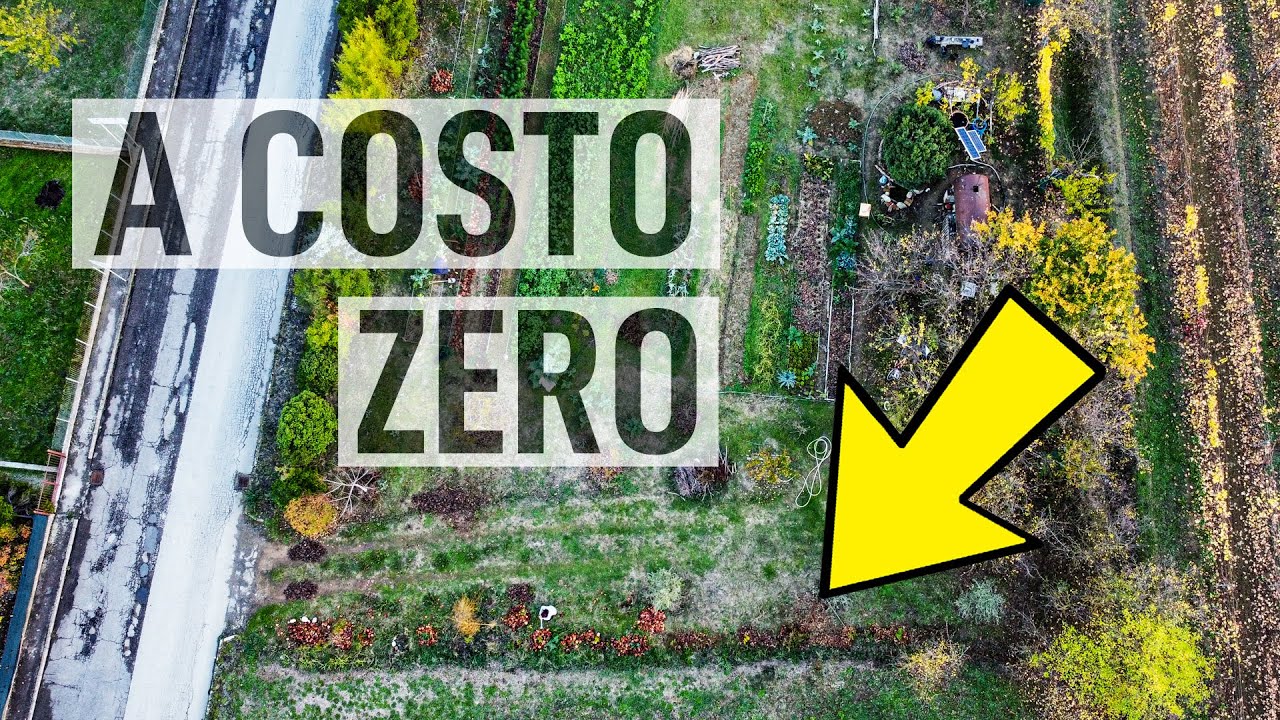 COME FARE UNA SIEPE A COSTO ZERO 🌳
