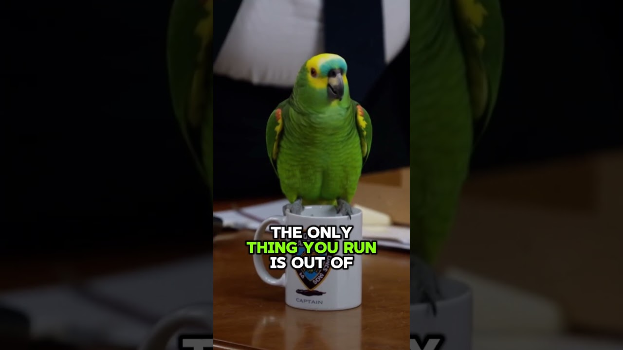 Попугай высмеивает капитана полиции за его пищевые привычки 😂 #шорты #попугай #смешно