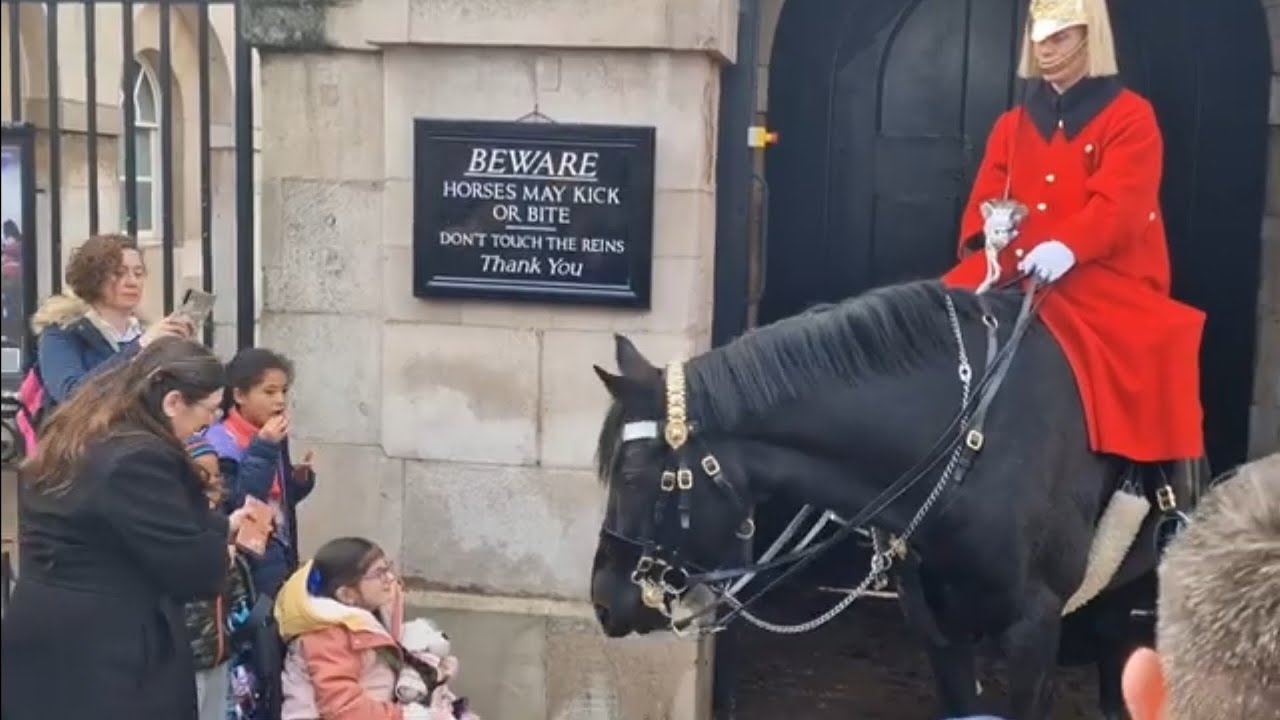 Heart warming moment ❤️  kings guard moves his horse towards young disabled girl in a wheelchair