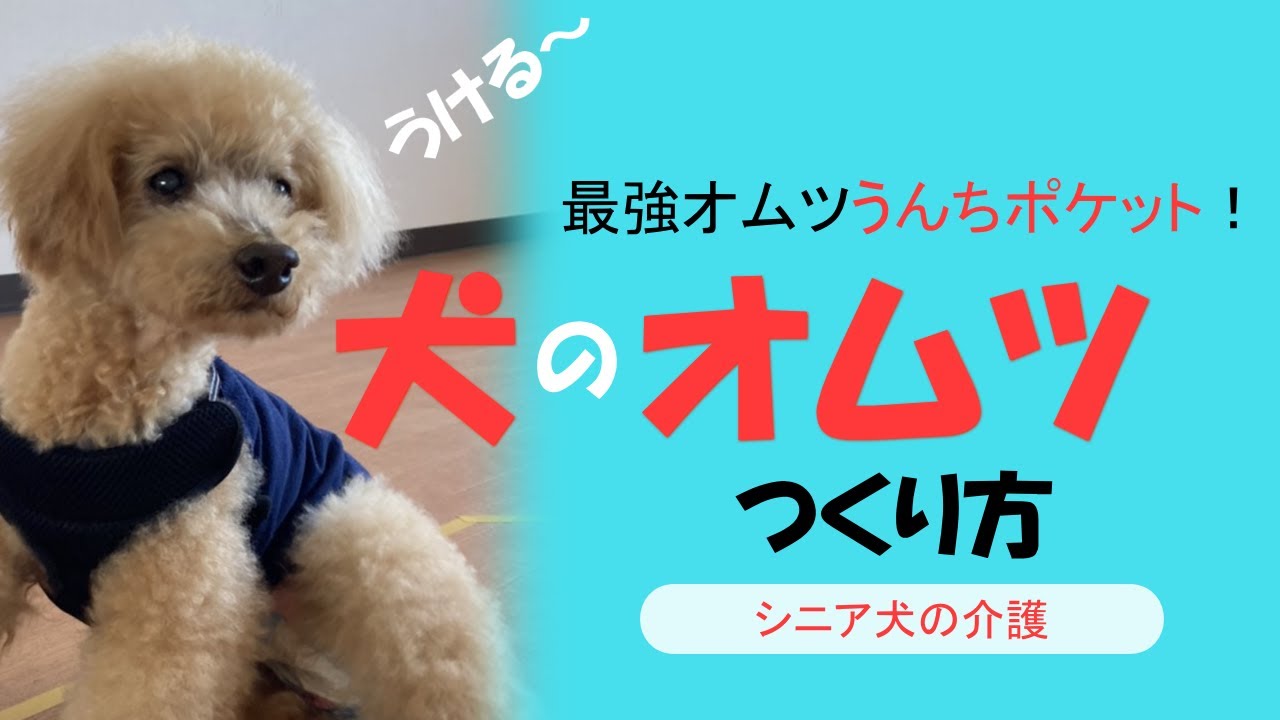 犬のオムツの作り方、大きいのも大丈夫！