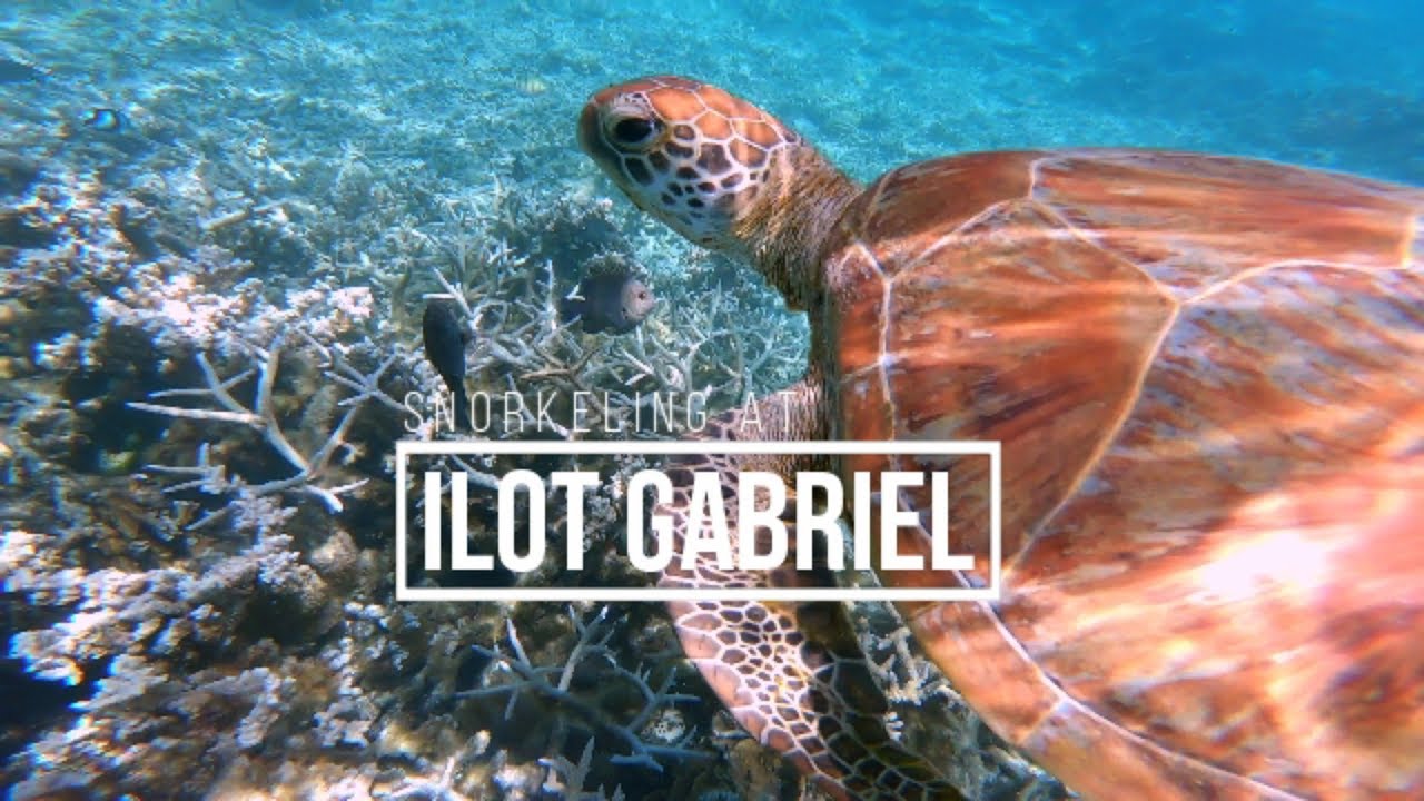 Snorkeling at Ilot Gabriel