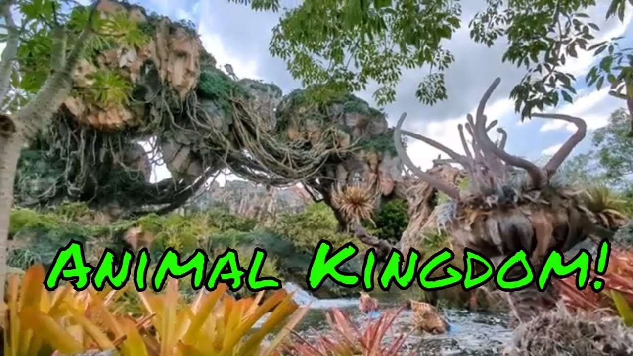 SOLO Trip Final Day Animal Kingdom Peaceful Vlog