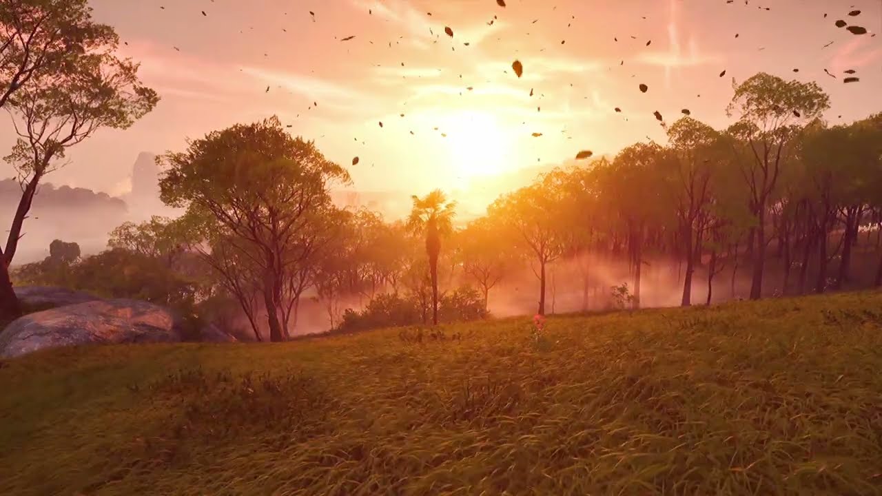 Relaxing Ambience Music - Sunrise Forest