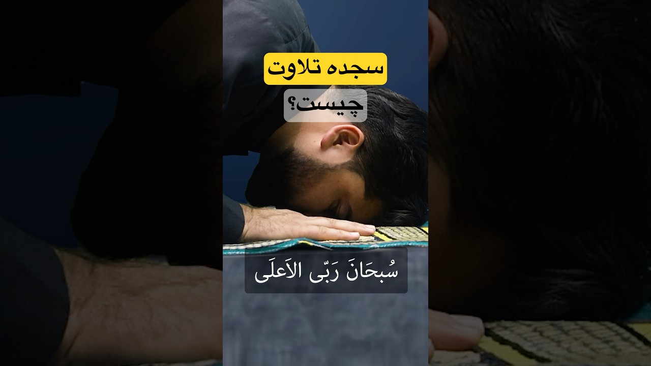 سجده تلاوت چیست و چگونه ادا میشود؟ / Quran
