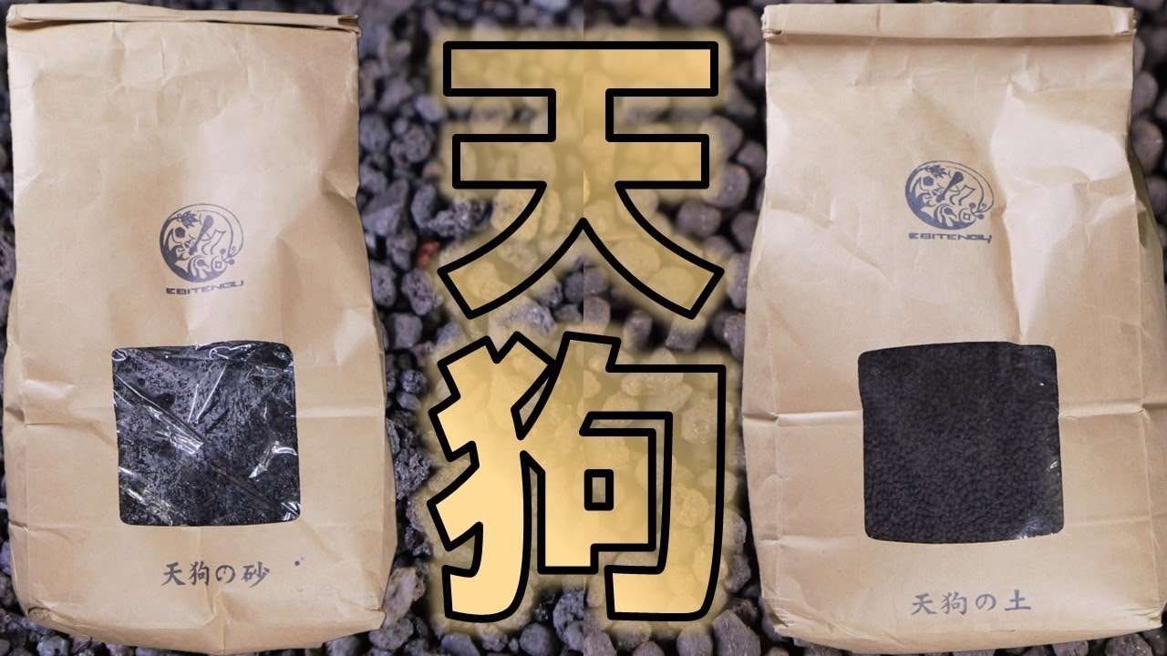 【砂・ソイル】レッドビーシュリンプの上を行くエビの飼育を可能にした黒系。EBI TENGU天狗の砂/天狗の土【ふぶきテトラ】