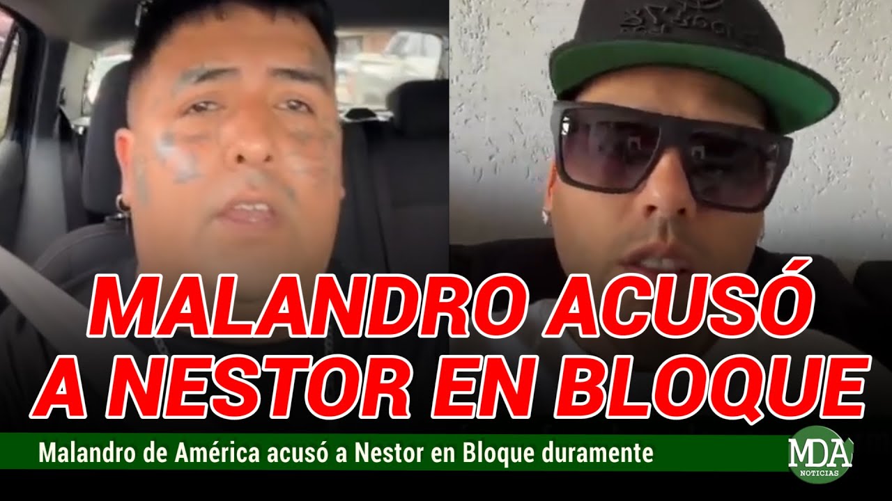 MALAJUNTA MALANDRO ACUSÓ a NÉSTOR en BLOQUE de “ROBARLE” una FRASE de una CANCIÓN