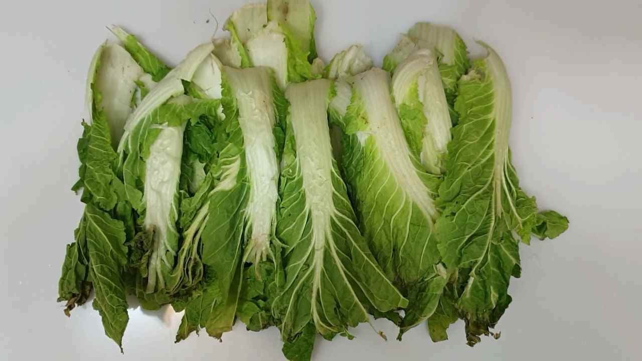 배추시레기를 이렇게 했더니 맛있다고 동네사람 다 모여들었습니다