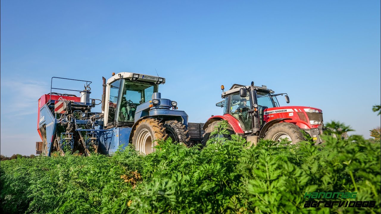 Möhren roden 2017| LU Terhardt | Asa-Lift | MF | Fendt |