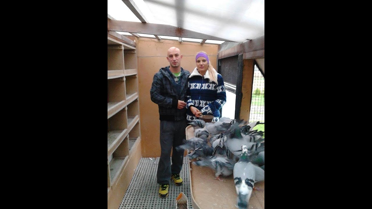 Varga Jocó & Anett