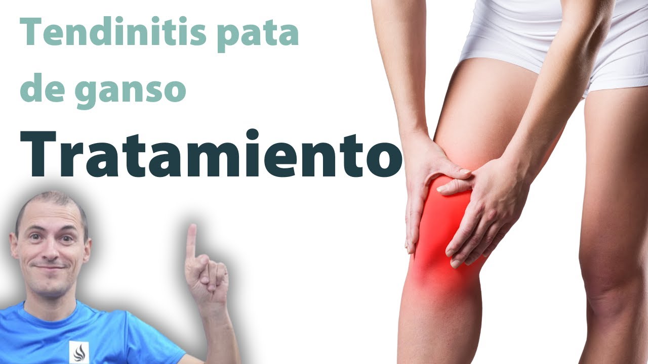 Tendinitis de la pata de ganso - Tratamiento con ejercicios, automasajes y estiramientos