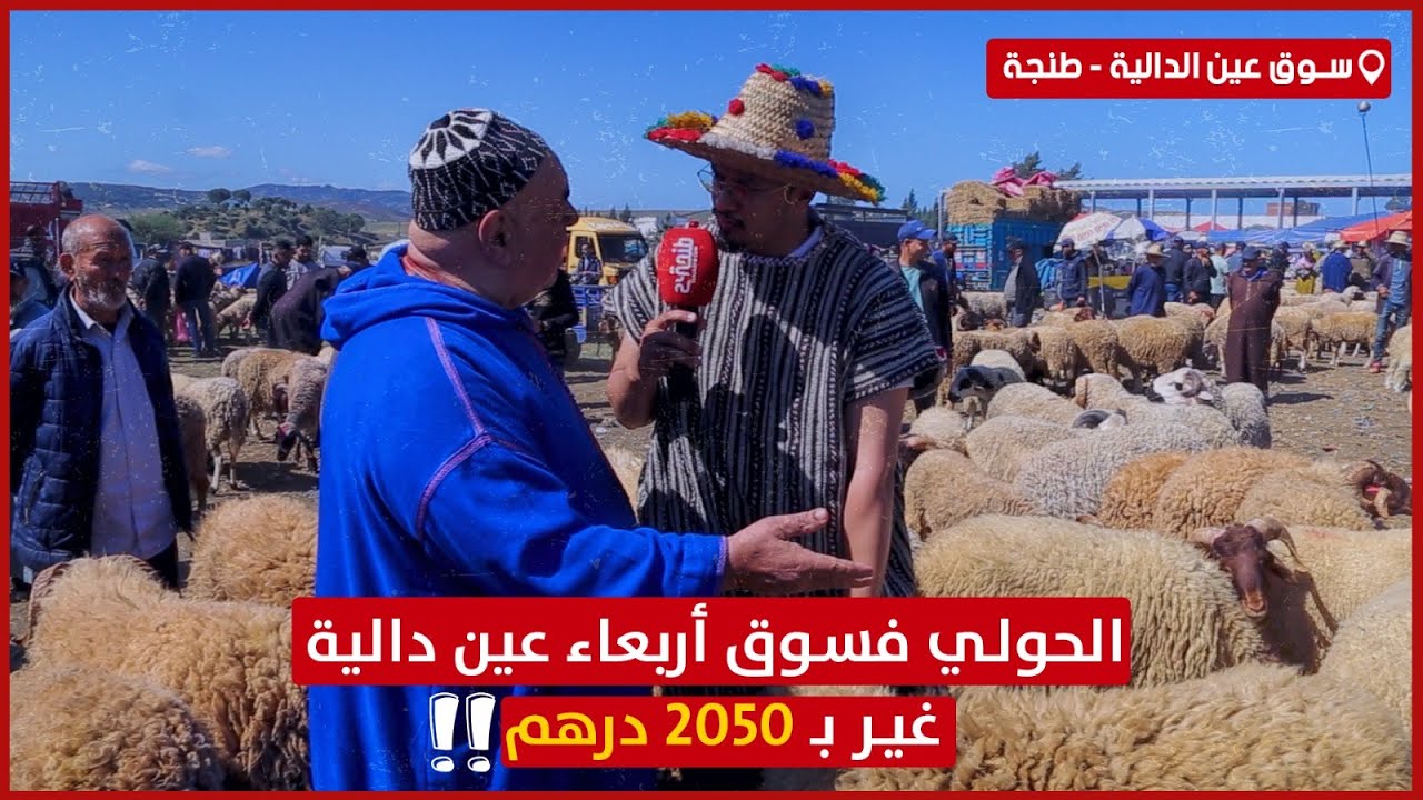الكساب.. الحولي فسوق أربعاء عين دالية غير بـ 2050 درهم !!