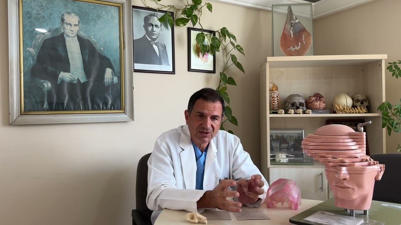 Prof.Dr. Ali Metin Kafadar
