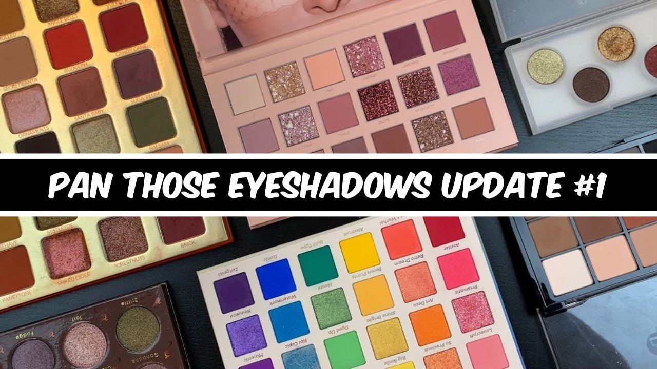 Pan Those Eyeshadows UPDATE #1 | ANY PANS?