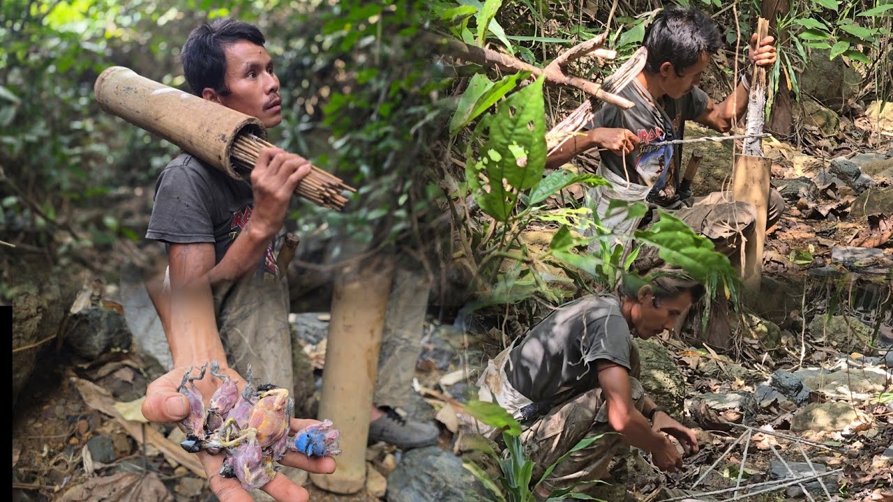 Going into the forest to trap birds. 1/3/2026