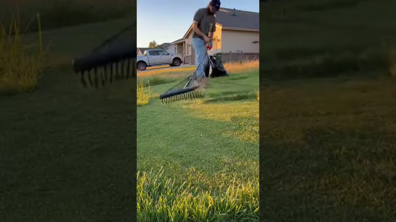 Great yard cleaning! 
