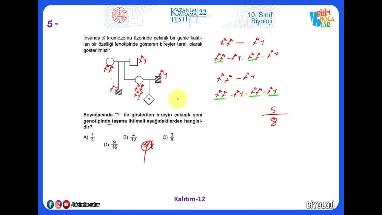 10. Sınıf Biyoloji Kazanım Testleri-22 (2022 - 2023) Kalıtım -12
