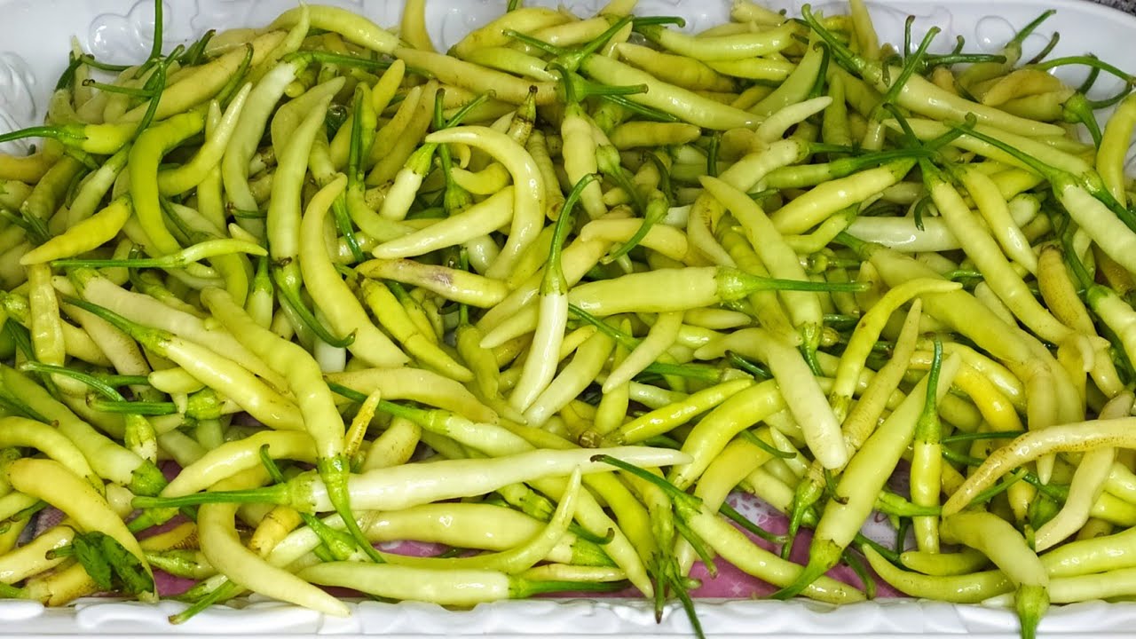 KAYINVALİDEMİN 40 YILLIK TARİFİ‼️ SÜS BİBERİ TURŞUSU YAPIMI #kışlıkhazırlık