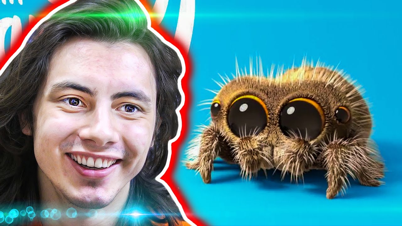DÜNYANIN EN KOMİK ve SEVİMLİ ANİMASYONU (Lucas the Spider)