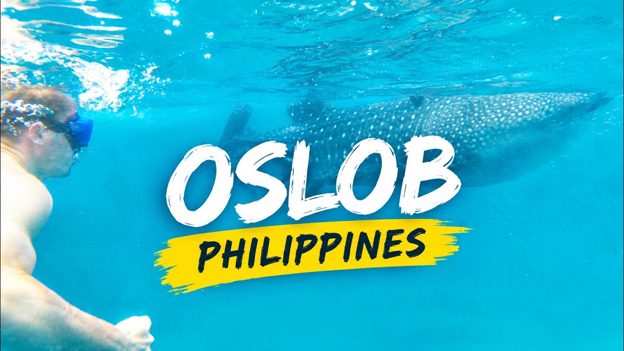 Philippines Adventures: Oslob