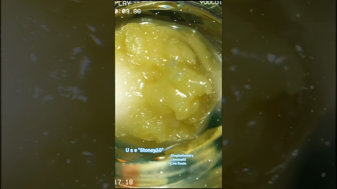 Shophellomary Lemonatti Live Rosin