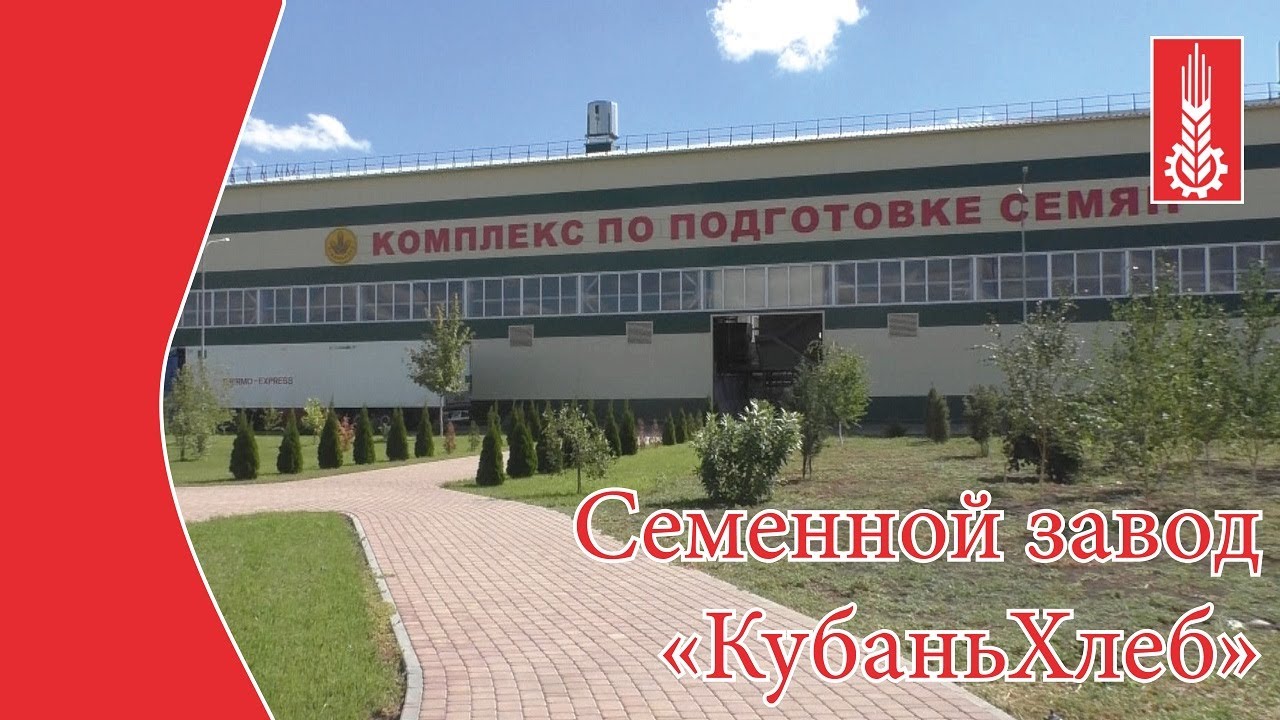 Семенной завод 