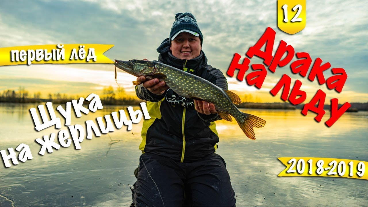 Драка на льду. Первый лёд сезона 2019. Щука на жерлицы.