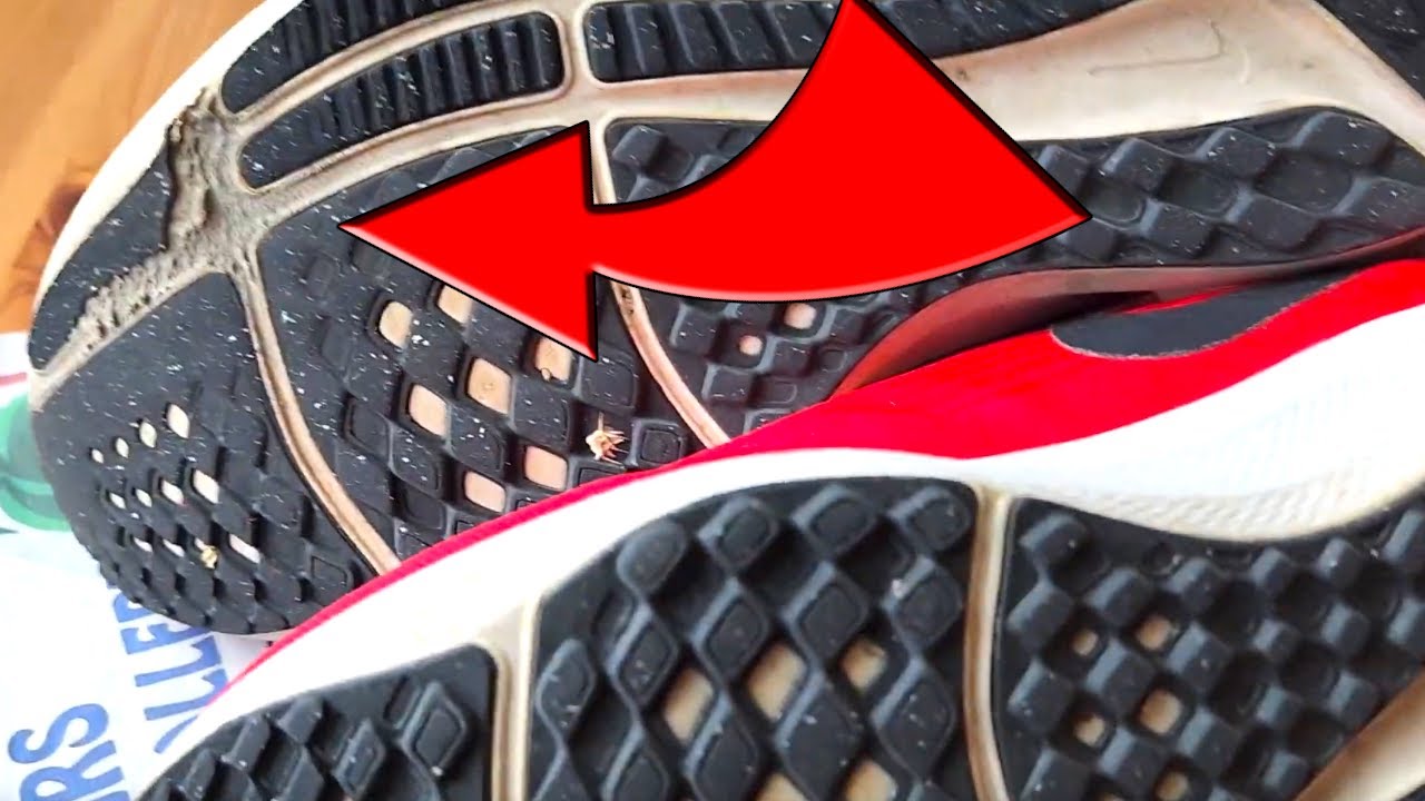 Nike Pegasus 500 km (300 mile) long term review