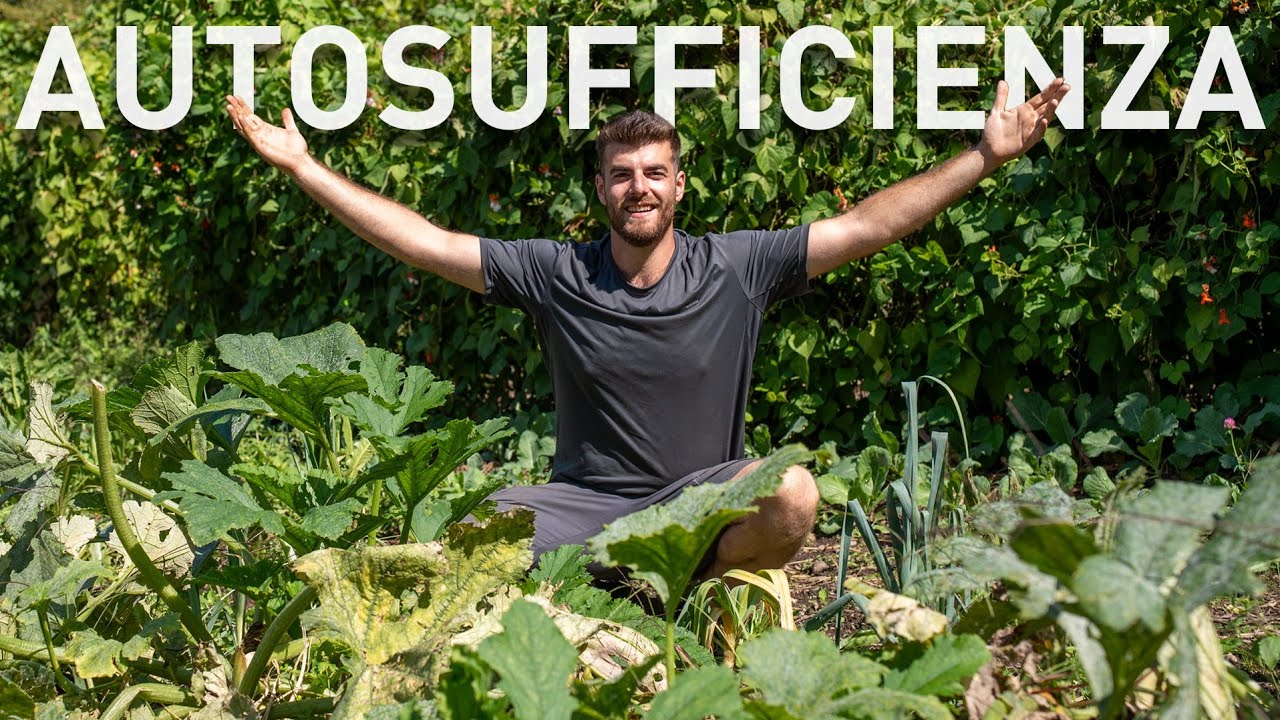 AUTOSUFFICIENZA alimentare TUTTO L'ANNO, ecco cosa coltivare 