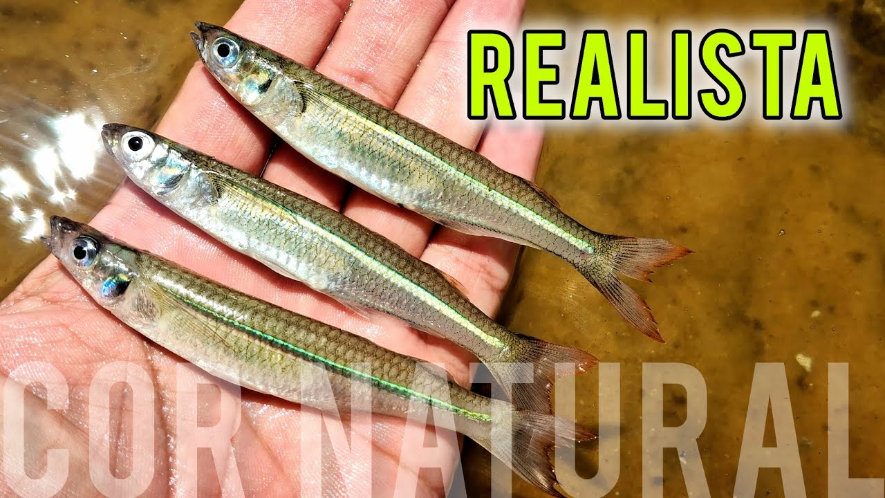 Isca artificial na cor natural | Customização HS LURES