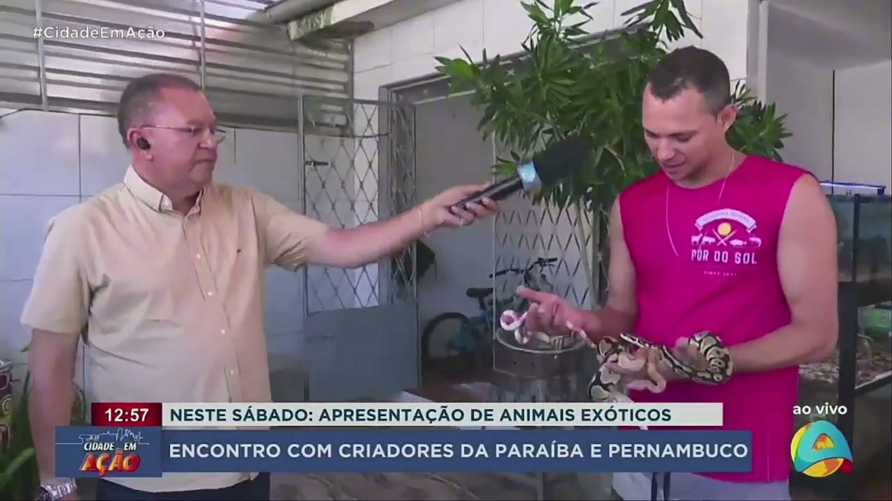 Cidade em Ação - Sábado tem apresentação de animais exóticos com criadores da Paraíba e Pernambuco