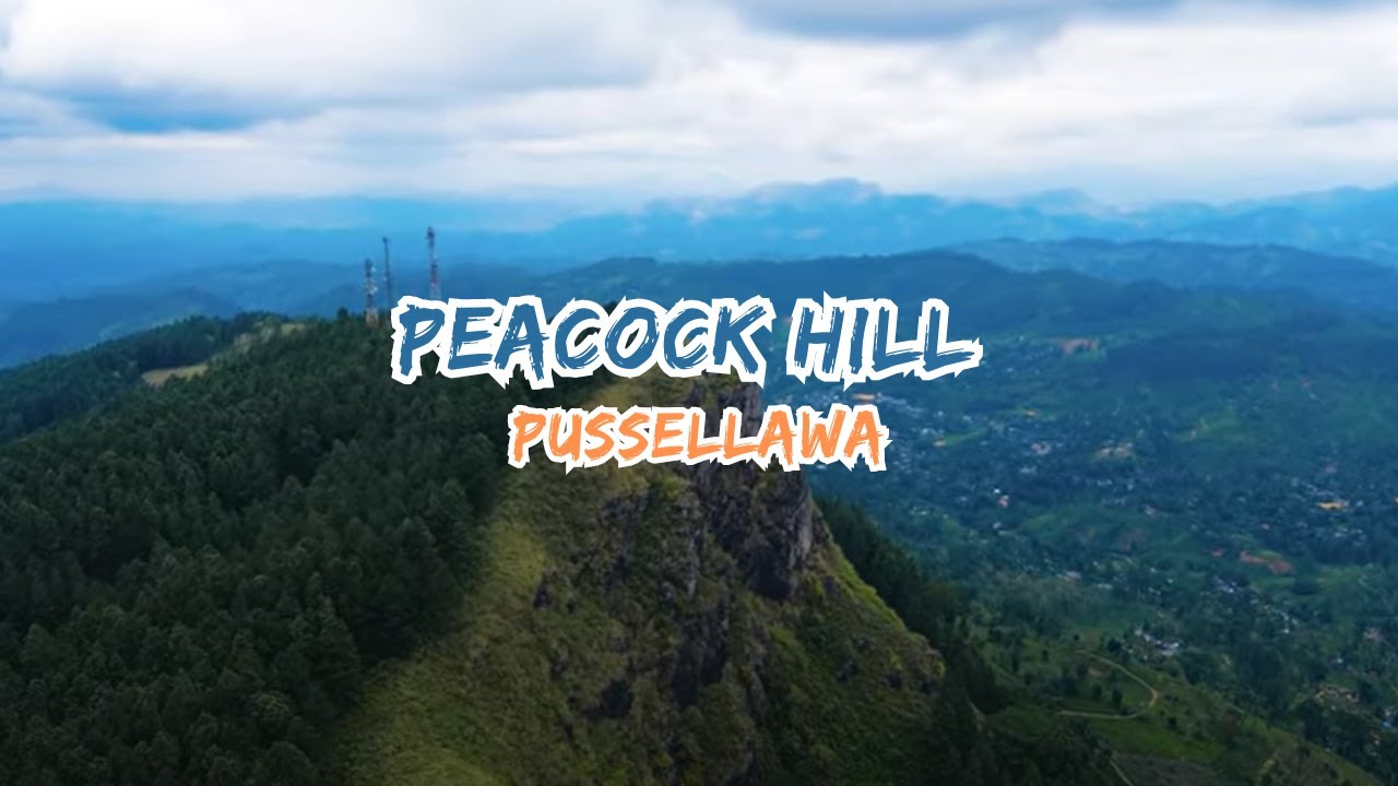Peacock Hill - Pussellawa
