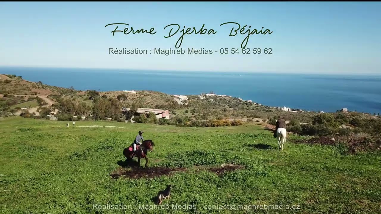 ferme Djerba (Béjaia) Juste pour le plaisir