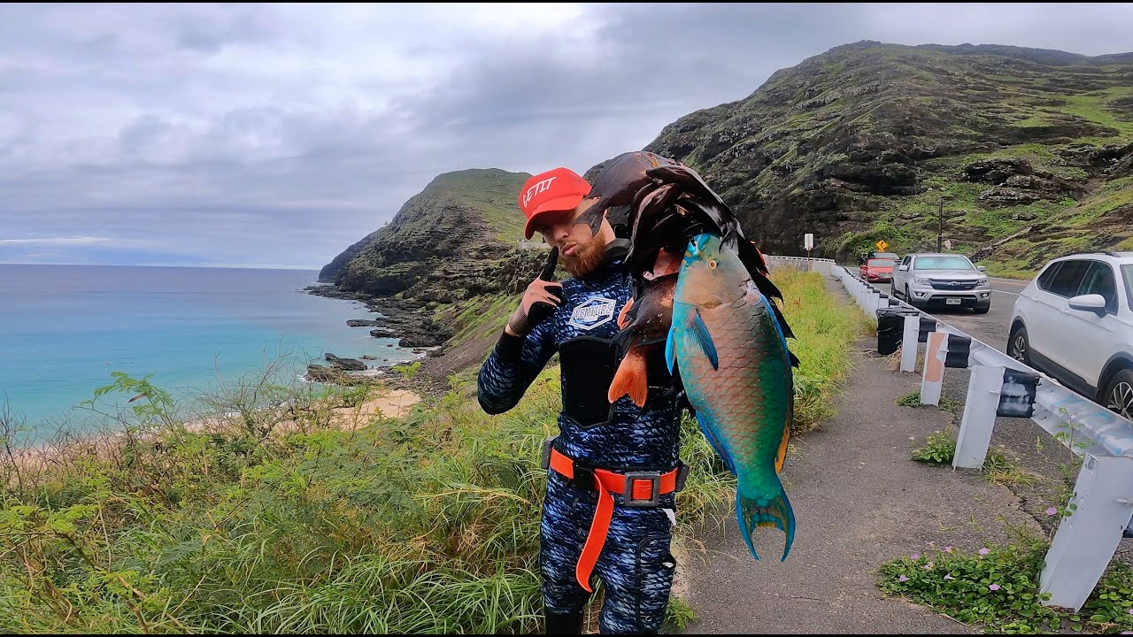 Исследованы новые земли! / EastSide предлагает! / Подводная охота с тремя зубцами на Гавайях