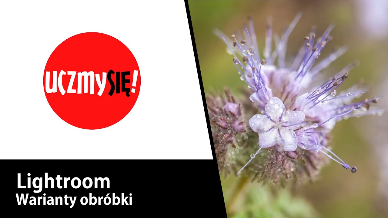 Uczmy się! - Lightroom - Warianty obróbki