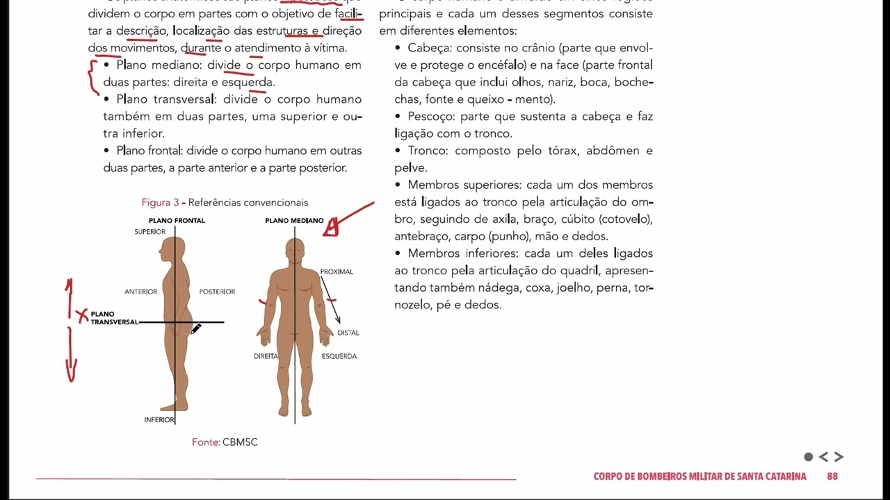 Posição Anatômica e Segmentação do Corpo Humano