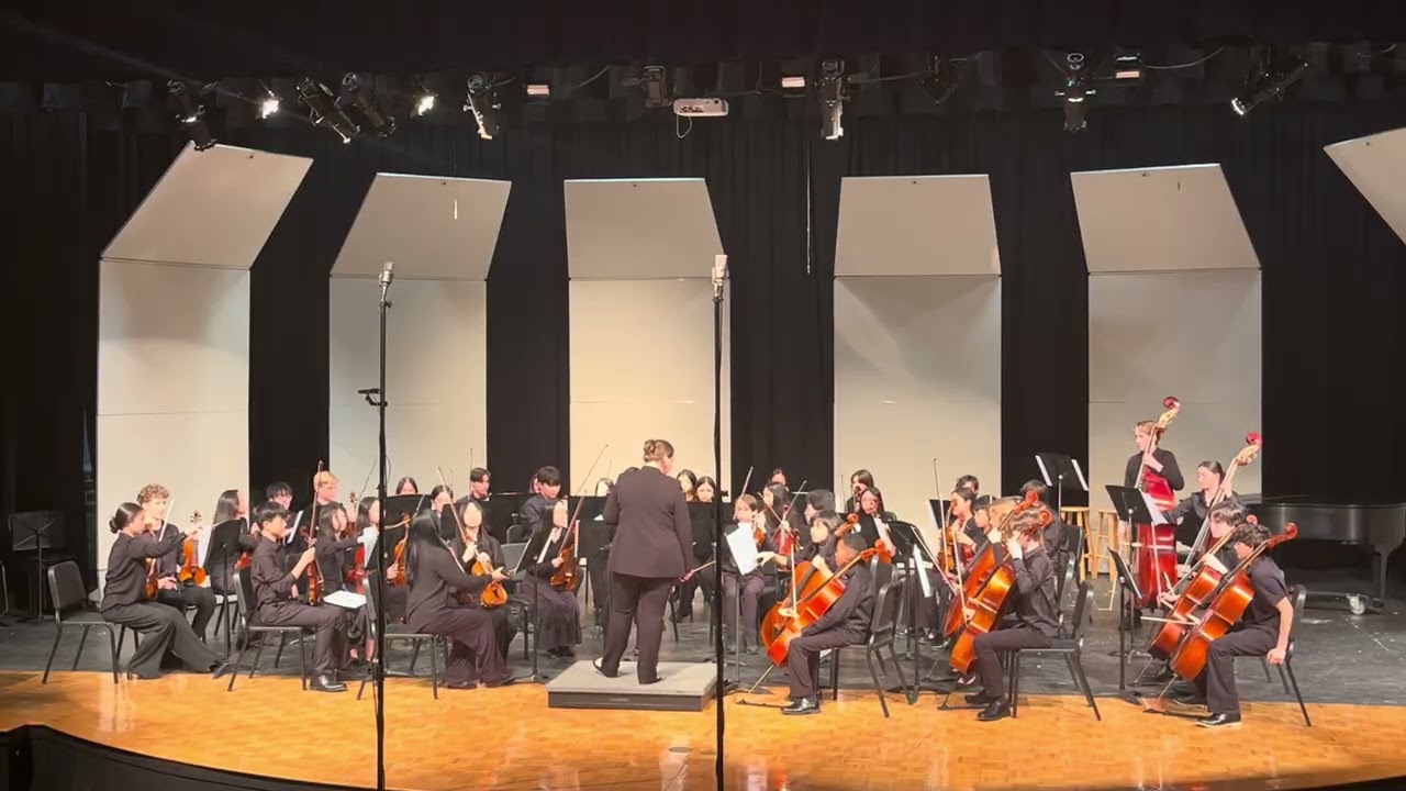 Robinson Secondary School Orchestra Assessment Concert on March 14, 2026