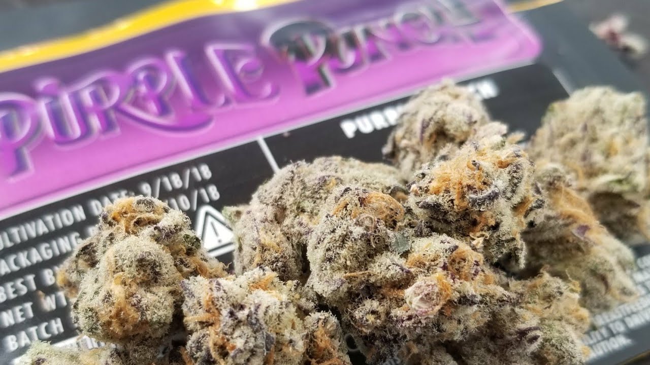Purple Punch &bull; JungleBoys CA