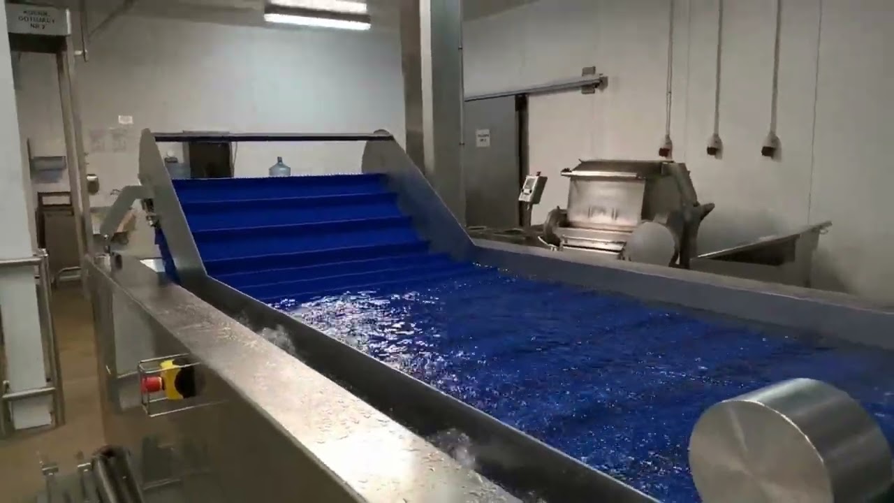 Techological line for cooking & cooling - LDP-600 - Linia technologiczna do gotowania i chłodzenia