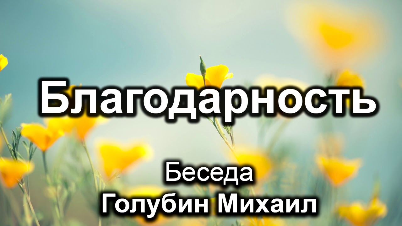Благодарность. Голубин Михаил. Беседа. МСЦ ЕХБ