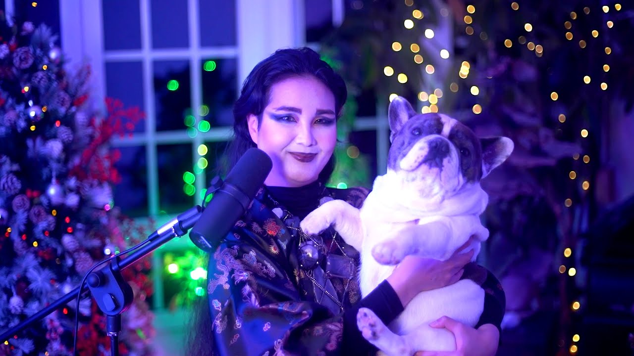 C Z A R I N A - The Fox's Wedding (LIVE) | darkTunes Music Group